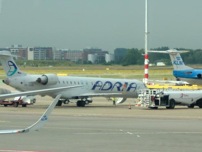 CIMG1284_resize.JPG